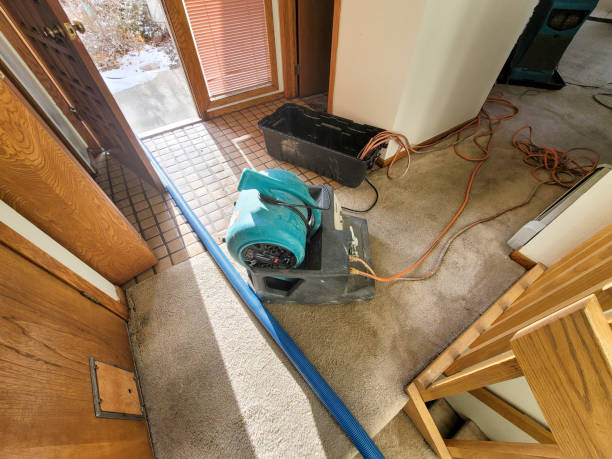 Water damage restoration mold remediation in Roscoe, TX