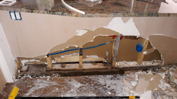Best Basement water damage restoration  in Roscoe, TX