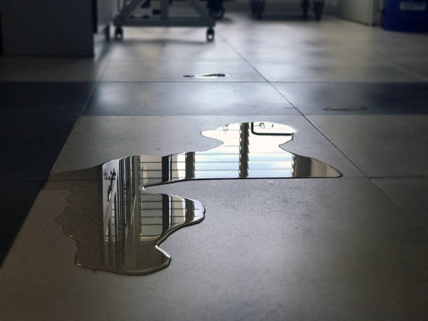 Best 24/7 water damage repair  in Roscoe, TX