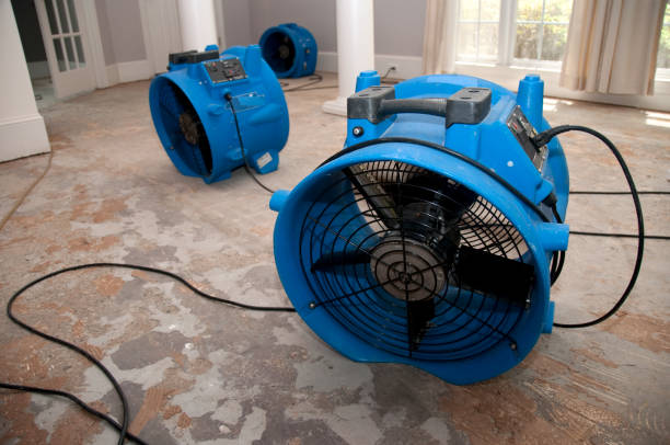 Best Carpet water damage restoration  in Roscoe, TX