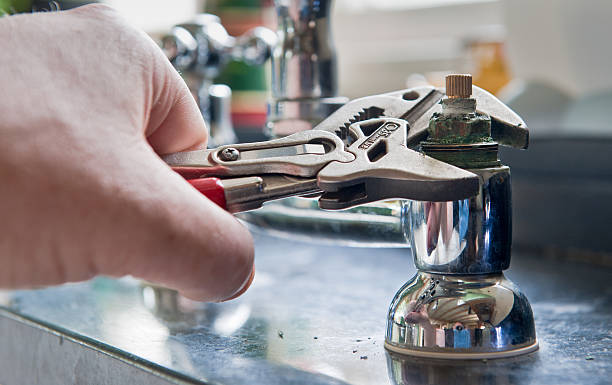 Best Professional water damage repair  in Roscoe, TX