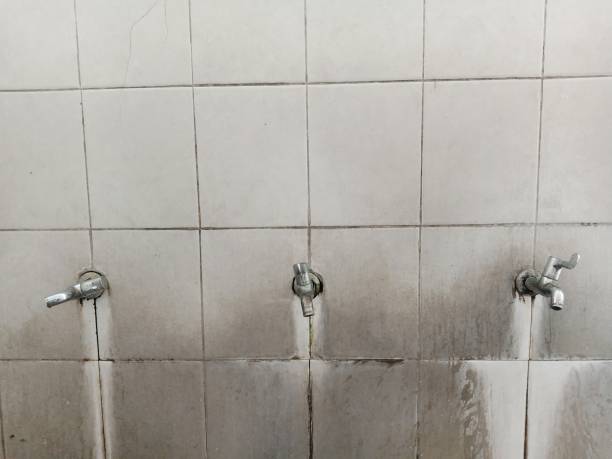 Best 24-hour water damage restoration  in Roscoe, TX