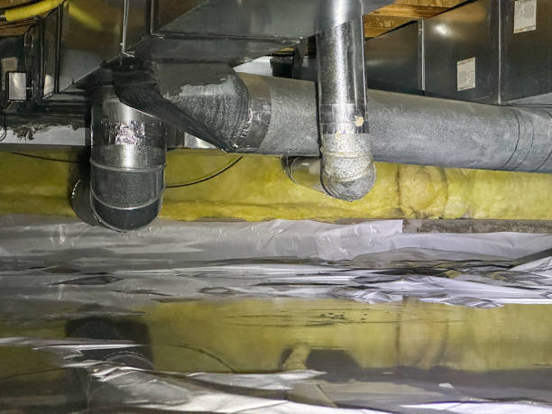 Trusted Roscoe, TX Water damage restoration Experts